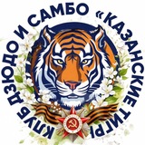 Клуб дзюдо и самбо «Казанские тигры»