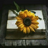 سيره الرسول 💜 🕊