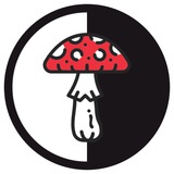 Fliegenpilz Max 🍄