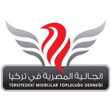 الجالية المصرية في تركيا