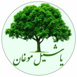 یاشیل موغان