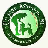 Команда помощи пуделям и мелкашам.Москва