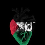 معلومات للأطباء