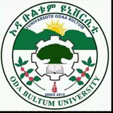 Oda Bultum University