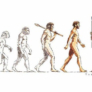 Anthropology Optional Notes