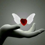 ❤️ ❤️ دلنوازان <i class="emoji" style="background-image:ur
