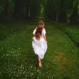 Nature video clips 🌹 🍁 <i class="emoji" style="backgroun