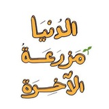 زَهـرةُ الحُسَين .