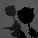 رُز سیاه...