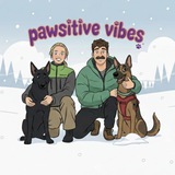pawsitive vibes 🐾