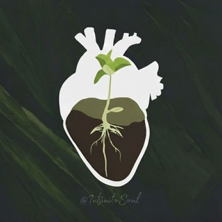 Infinito Soul 🌱 (موسیقی بیکلام)