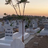 لـ فقيدي