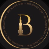 Billionace Real Estate
