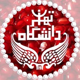 tehran_university