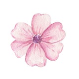 نماذج اختبارات اولى متوسط