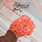اقتباسات مطر