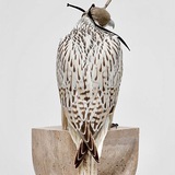 s2 .