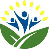 『 مشاوره طلایی 』