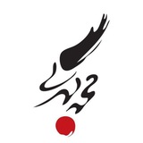 کهربی - جنرالیست