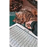 اللهُ لَطِيفٌ بِعِبَادِهِ ♥️ "