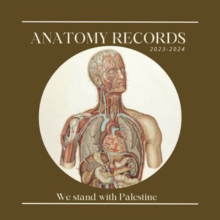 Dr. alazony "anatomy records "