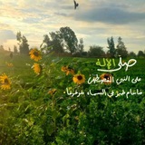 ⤶ سُــ𓂆ــرَىٰ ↺