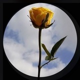 إقتباسات دينيه 🌻 🍃