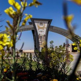 جامعة الحلة