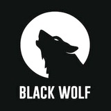 Black wolf