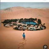 رواية ارض زيكولا
