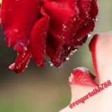 کامنت های زیبای اینستاگرامی ❤ 💘 <i class="emoji" style="ba