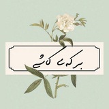 برکهی کاشی؛