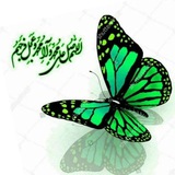 💚 برڪاتـِ14معصوم 💚