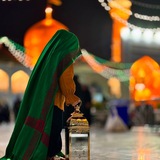 zahed_z313