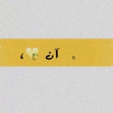 • ﭑﭑڼ ؛ 💸 💛 ⇣℡