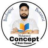 CONCEPT OF BRAIN CLASSES