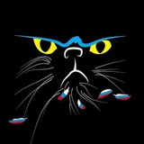 МАРТівський кіт | Новини Миколаєва