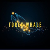 Forex whale 🐋