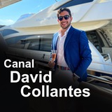 🇻🇪 🇨🇱 Canal David Collantes<i class="em