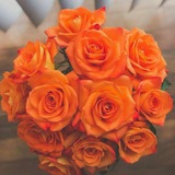 🌸 رياضيات أولى وثانية إعدادي 🌸