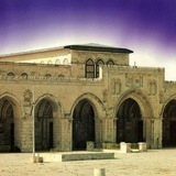 د/ أ حمد زايد