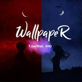 ✦ wallpaper ✦ والپیپر