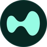 Hyperliquid Big Trades Feed