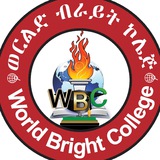 WORLD BRIGHT COLLEGE