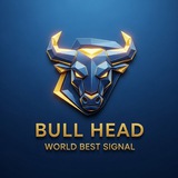 BULL HEAD ®