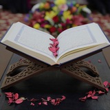 Terjemahan Al Quran