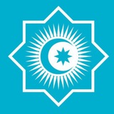 Organization of Turkic States