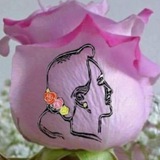 နန်းမိုဇင်ဖူး