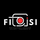 Картинка канала