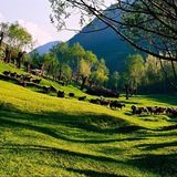 Картинка канала